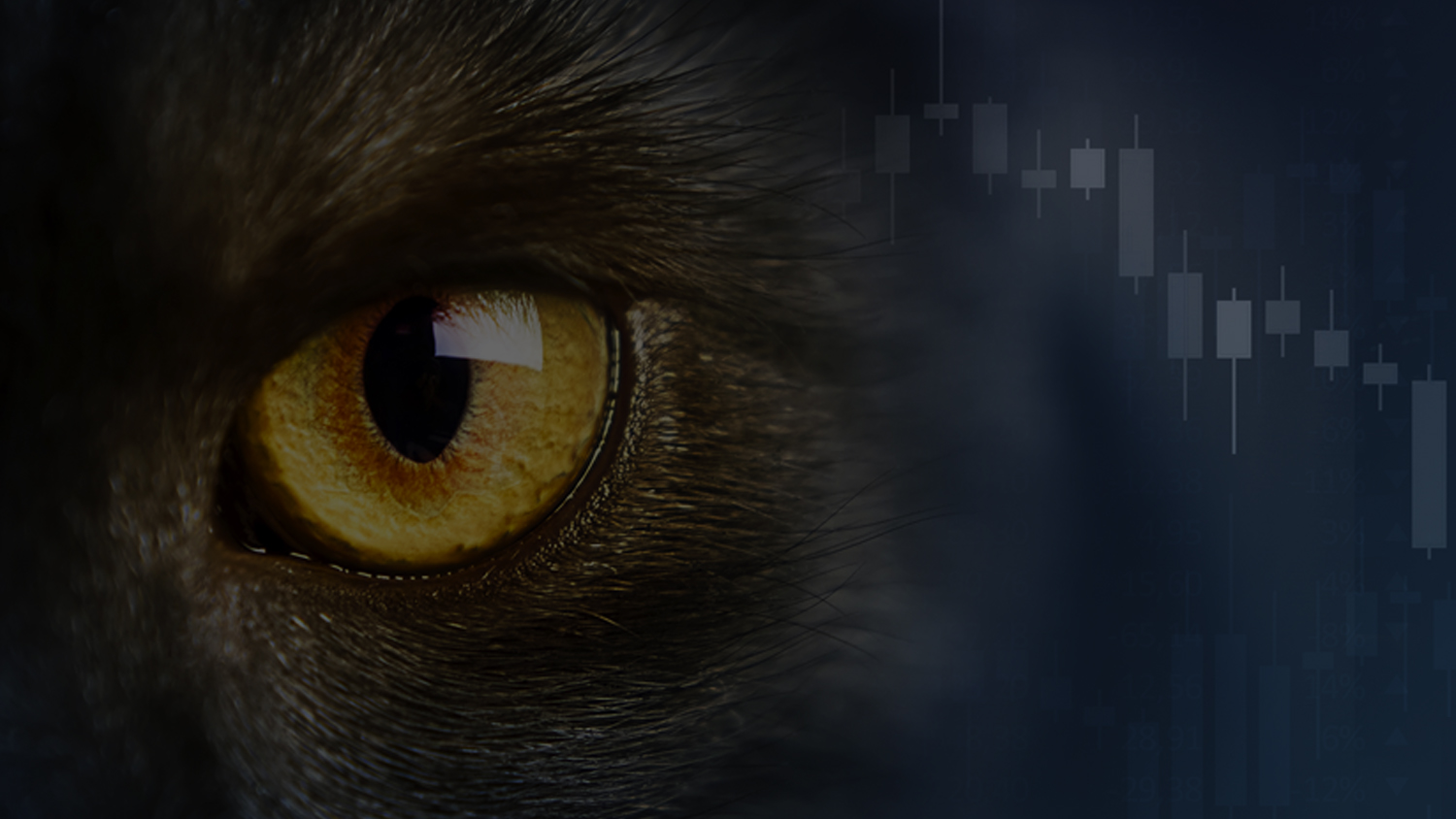 Corvil's Timely Solution to CAT NMS Plan Clock-Sync Compliance